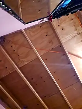 Eljilipoyas69 online show from 11/14/25, 04:22