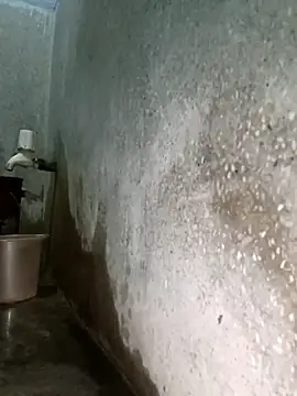 Mr xxx007xh online show from 02/03/26, 11:26