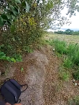 Snapshot of magraocam chatting on 11/06/25, 04:08 magraocam online show from 11/06/25, 04:08