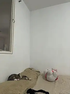 aliciia 23 online show from 11/28/25, 08:11