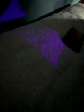 disvla online show from 11/22/25, 05:17