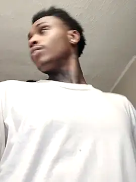 Dropdingo online show from 11/19/25, 04:07