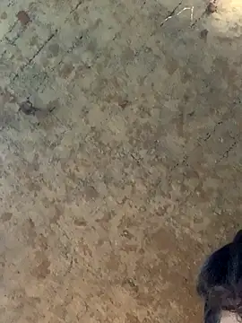 Snapshot of uniquesexyboy5689 chatting on 11/27/25, 10:50 uniquesexyboy5689 online show from 11/27/25, 10:50