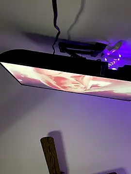 Luck  090 online show from 11/06/25, 01:39