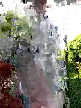 AlphaAlterX online show from 12/20/25, 12:34