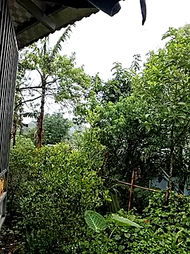 ALIENHR38 online show from 04/26/26, 04:43