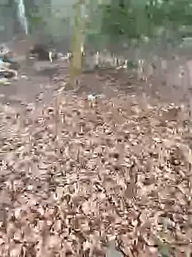 andymatthisbwc online show from 02/25/26, 02:59