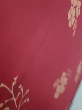 Snapshot of Bangalore-Seema chatting on 09/17/25, 04:36 Bangalore-Seema online show from 09/17/25, 04:36