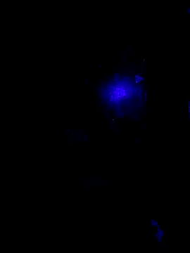 johnboones10 online show from 10/22/25, 09:42