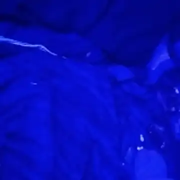 johnboones10 online show from 03/04/26, 09:15