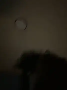 bunbun420247 online show from 12/05/25, 11:30