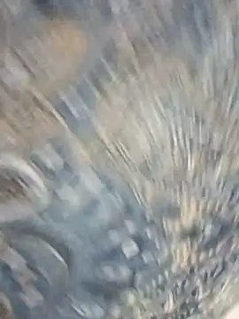 HAANNIAA online show from 12/02/25, 11:04