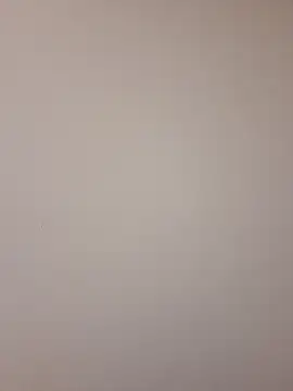 Mr nightfall online show from 11/13/25, 02:32