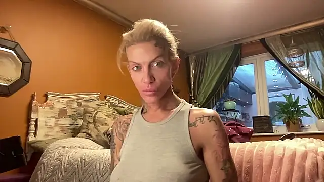 xl uk top trans online show from 01/12/26, 08:52