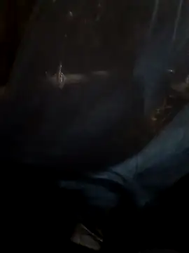 Sapna cutt online show from 09/17/25, 08:21