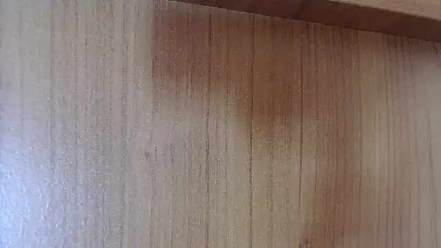 Pamela-StripX online show from 12/14/25, 09:08