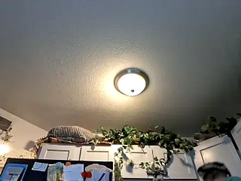 Snapshot of WWGD69 chatting on 03/03/26, 02:28 WWGD69 online show from 03/03/26, 02:28