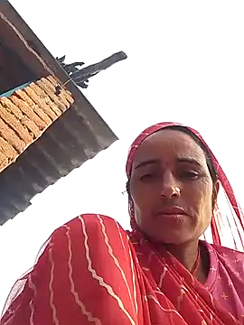 Jalebi bay online show from 10/15/25, 02:22