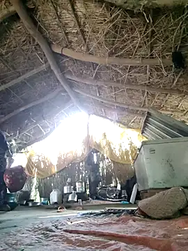 LUCKY cut online show from 09/11/25, 11:21