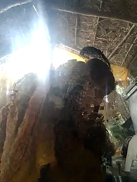 LUCKY cut online show from 11/22/25, 03:05