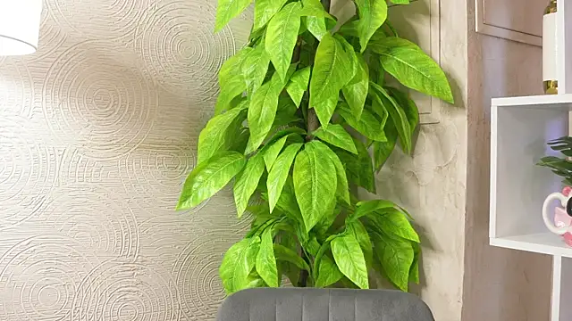 MarlinVarian online show from 09/09/25, 06:13