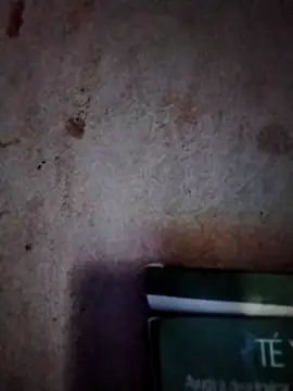  tetas 92 online show from 03/07/26, 01:30