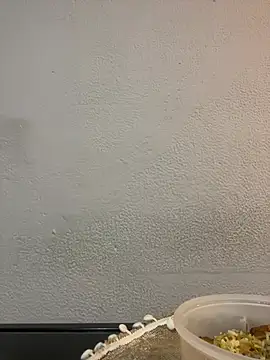 Bella Sumers online show from 04/29/26, 06:25