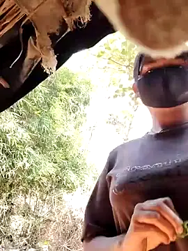 Janvi Jaitly online show from 11/17/25, 09:15