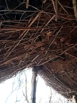 Janvi Jaitly online show from 12/05/25, 01:25