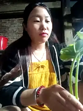 siki-00 online show from 10/25/25, 11:54