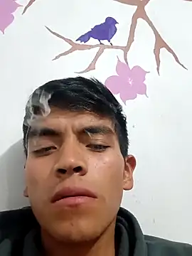 DavidVergagigante420 online show from 09/12/25, 05:18