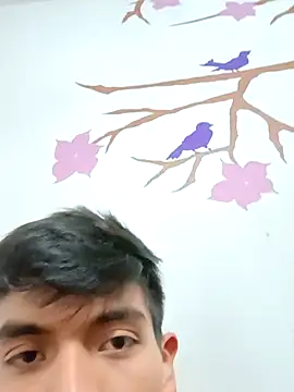 DavidVergagigante420 online show from 11/17/25, 03:01