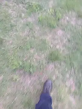 Snapshot of Pondo10 chatting on 11/13/25, 03:55 Pondo10 online show from 11/13/25, 03:55