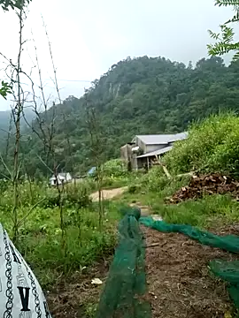 keobong-00 online show from 09/14/25, 02:44