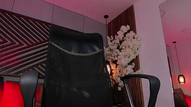 B Wild online show from 12/17/25, 03:56