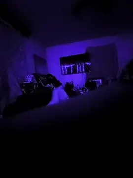 littlecockginger online show from 10/31/25, 10:16