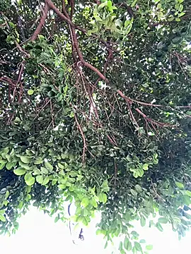 Boy hot- online show from 02/20/26, 08:09