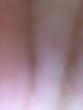 Snapshot of luzmelzinha chatting on 04/11/26, 11:42 luzmelzinha online show from 04/11/26, 11:42