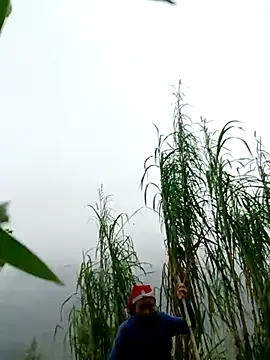 kemtuoi-sex online show from 04/01/26, 02:56