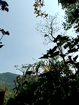 kemtuoi-sex online show from 04/08/26, 03:17