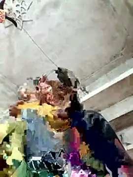 Cm pooja online show from 01/10/26, 10:39