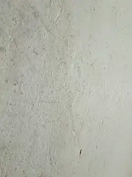 kata-00 online show from 03/15/26, 04:18