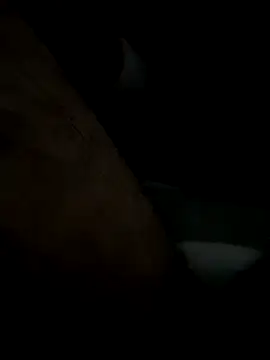 Snapshot of jayandjane69 chatting on 09/09/25, 03:44 jayandjane69 online show from 09/09/25, 03:44