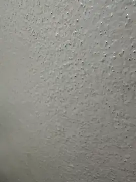 Snapshot of Wild-Nayra chatting on 10/04/25, 01:36 Wild-Nayra online show from 10/04/25, 01:36