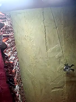 Suman ji1 online show from 11/27/25, 09:06