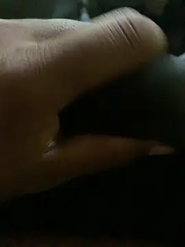 tharu-45 online show from 04/17/26, 09:45