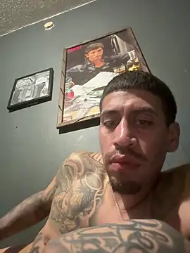 busnfatnutsLildee online show from 02/03/26, 06:11