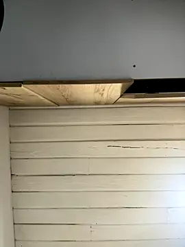 SienaWild online show from 12/01/25, 03:11