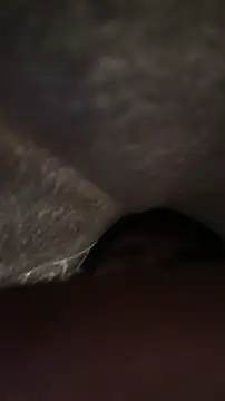 panganamno online show from 11/15/25, 05:09