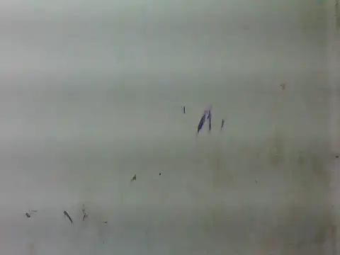 sweet bella16 online show from 01/16/26, 05:33